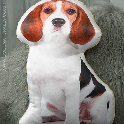 Beagle Cushion